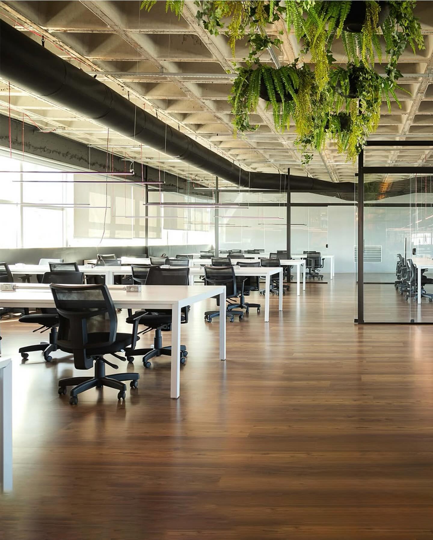 Cadeira de Escritório Time
Conforto, versatilidade e design para o seu dia a dia.A Cadeira Time foi pensada para quem busca ergonomia sem abrir mão do estilo. Disponível nas versões fixa ou giratória, ela se adapta a diferentes rotinas e espaços de trabalho. Conta com apoio de cabeça, porta-paletó e diversas opções de mecanismos, rodízios e revestimentos — tudo para oferecer o máximo de conforto e personalização.Um produto Cadeflex Premium, ideal para transformar o ambiente corporativo com funcionalidade e sofisticação.